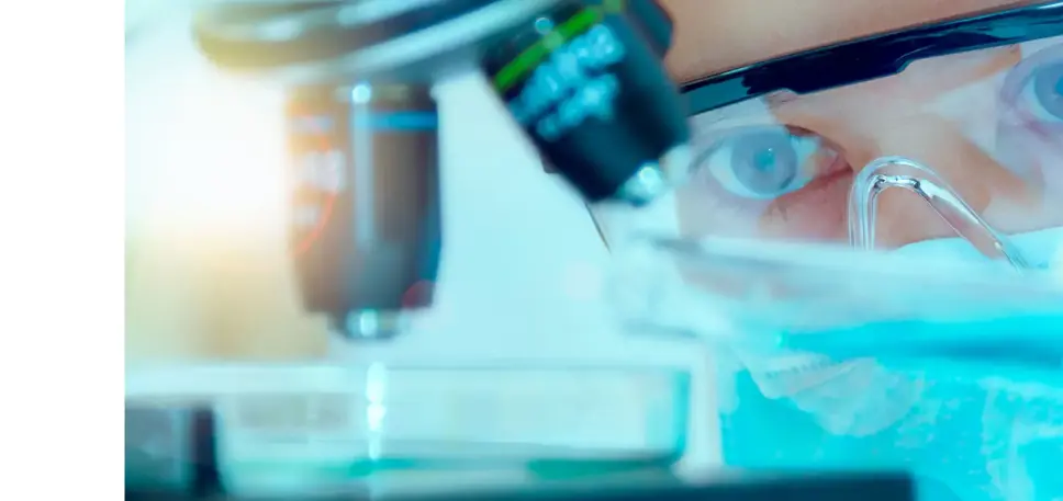 Scientist looking at petri dish on the microscope platform